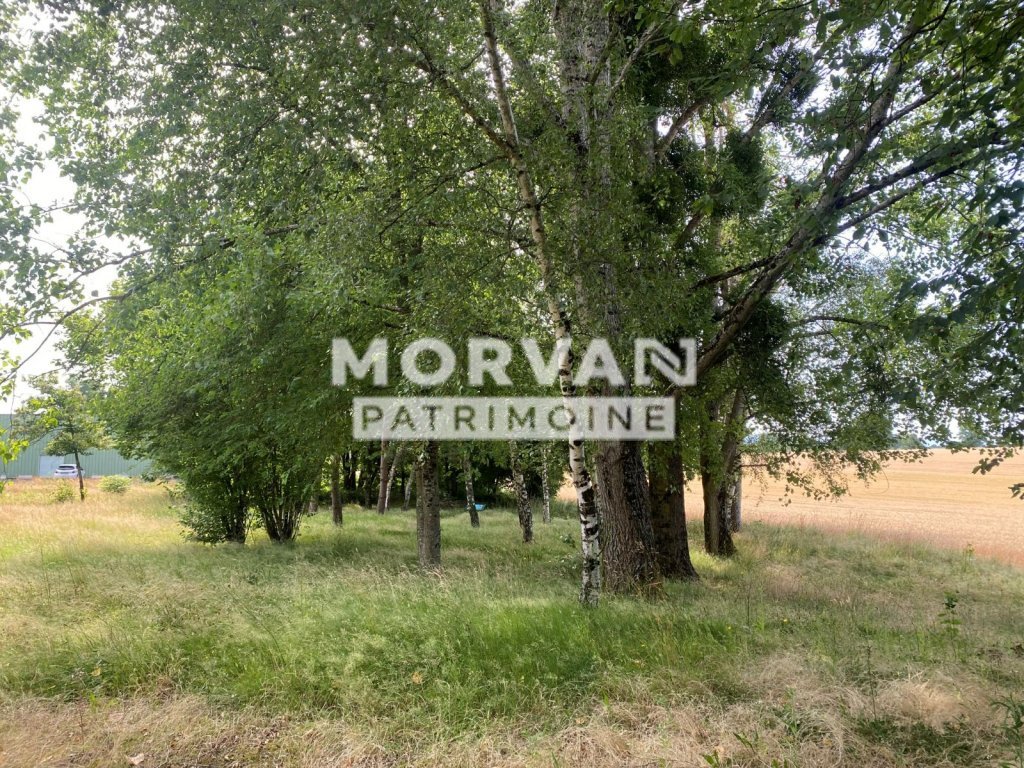 MAISON A VENDRE - ALLUY - 294.95 m2 - 71 700 &euro;