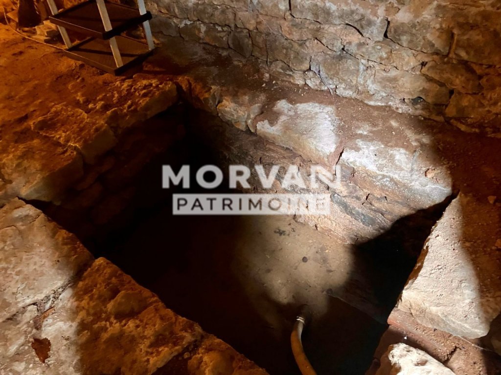 MAISON A VENDRE - BILLY CHEVANNES - 99.53 m2 - 54 000 €