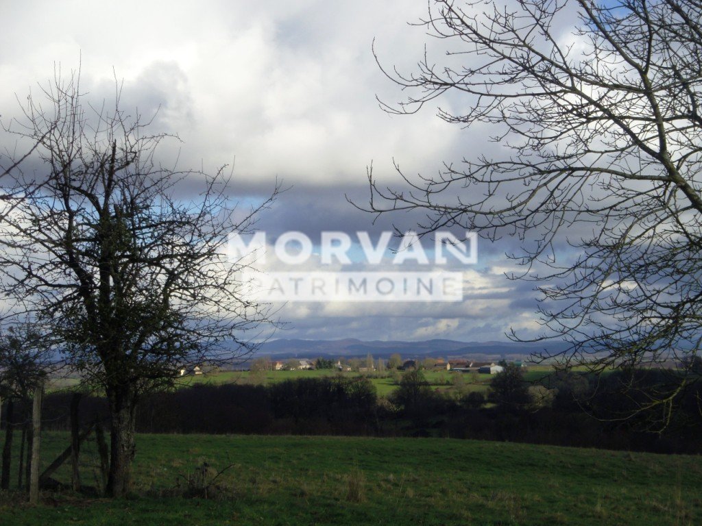 MAISON A FINIR DE RENOVER - VUE MORVAN A VENDRE - ST SAULGE - 39.14 m2 - 20 000 &euro;