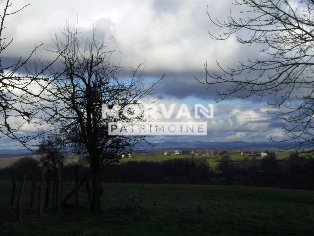 MAISON A FINIR DE RENOVER - VUE MORVAN A VENDRE - ST SAULGE - 39.14 m2 - 20 000 &euro;