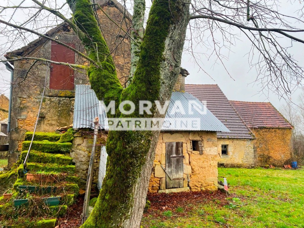 MAISON ET DEPENDANCES SUR BEAU TERRAIN A VENDRE - STE MARIE - 52 m2 - 39 000 &euro;