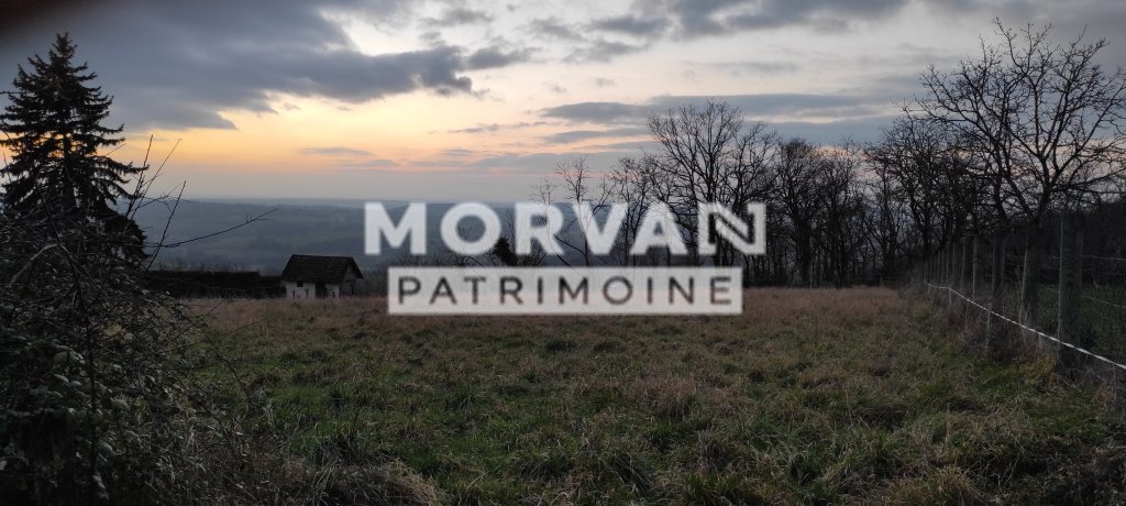 TERRAIN - ST PEREUSE - 2024 m2 - VENDU