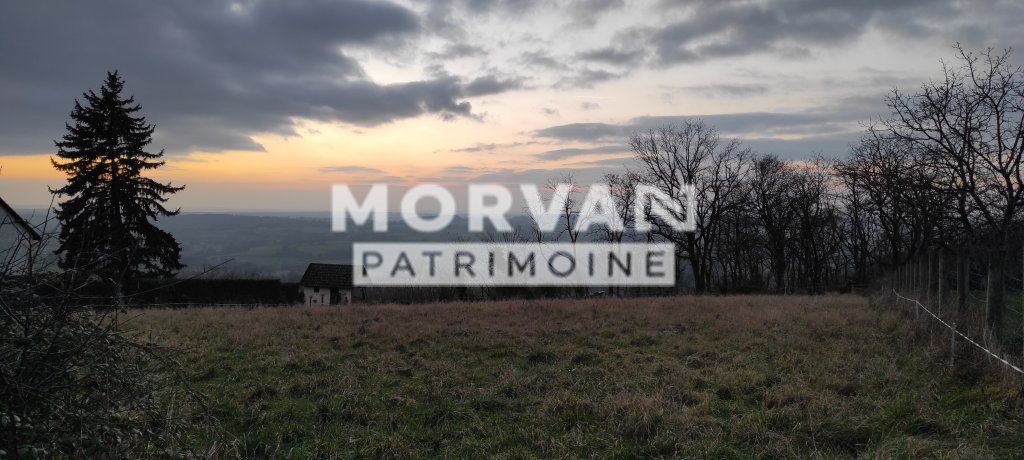 TERRAIN - ST PEREUSE - 2024 m2 - VENDU