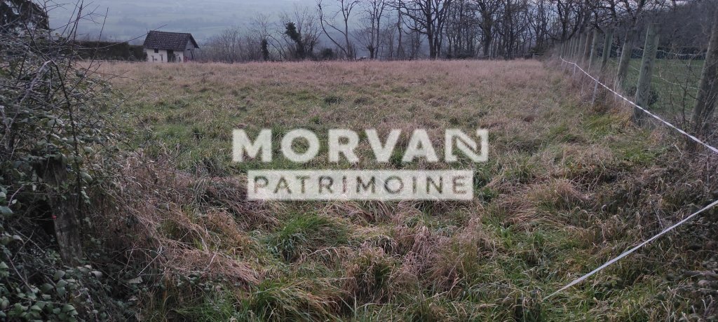 TERRAIN - ST PEREUSE - 2024 m2 - VENDU