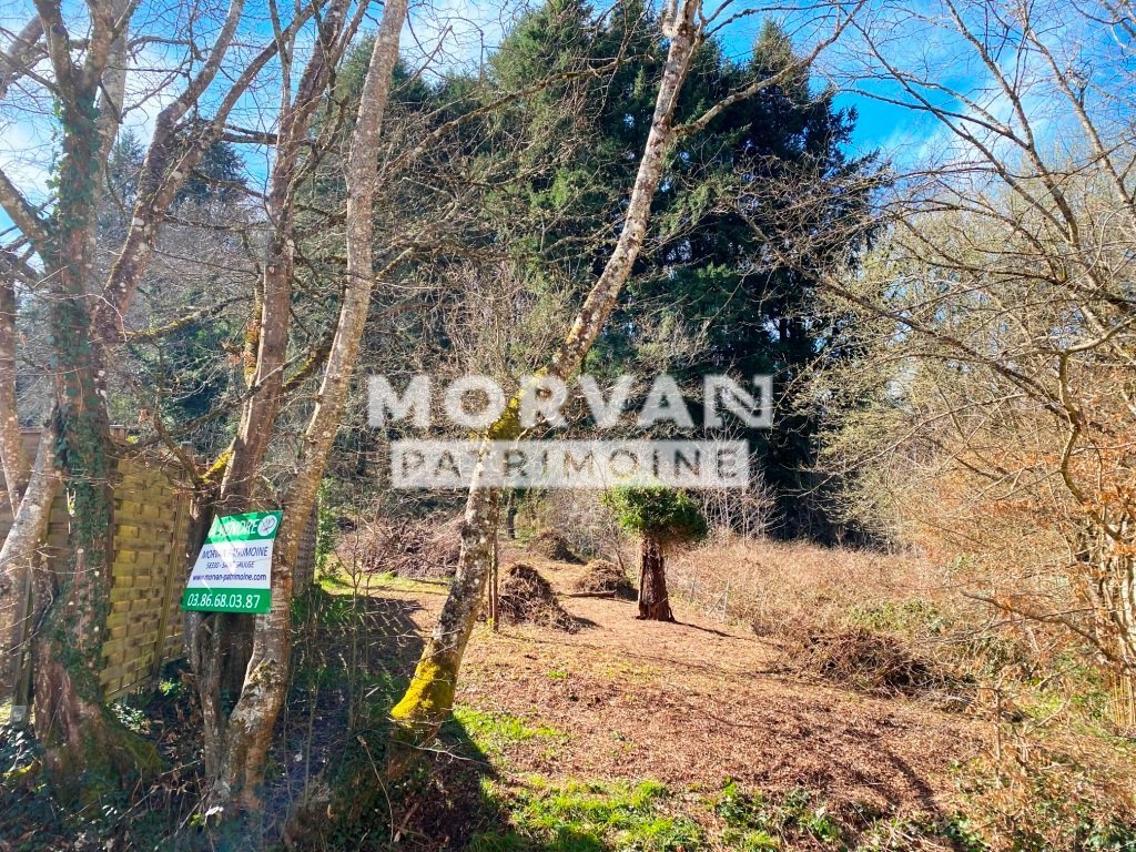 TERRAIN A BATIR ARBORE A VENDRE - ST SAULGE - 1354 m2 - 14�000�&euro;