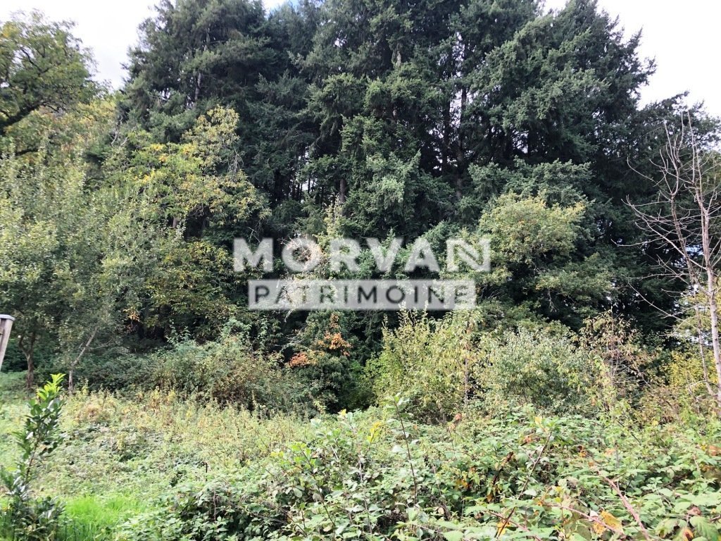 TERRAIN A BATIR ARBORE A VENDRE - ST SAULGE - 1354 m2 - 14�000�&euro;