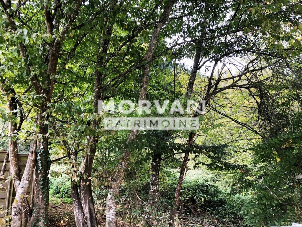 TERRAIN A BATIR ARBORE A VENDRE - ST SAULGE - 1354 m2 - 14�000�&euro;