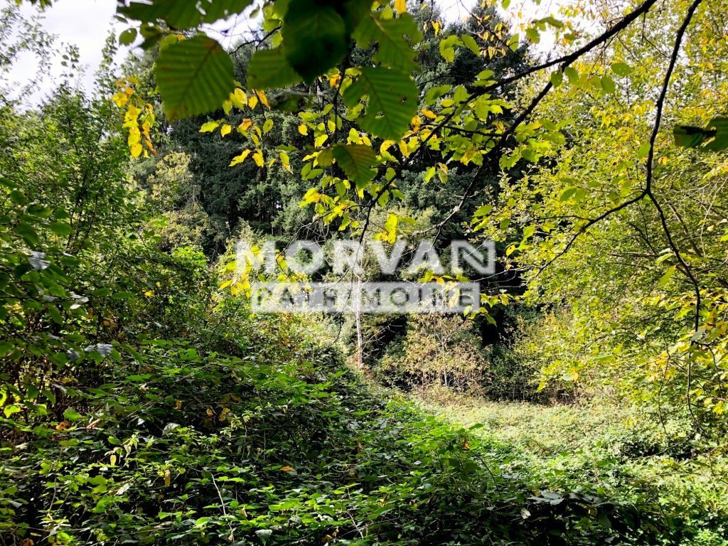 TERRAIN A BATIR ARBORE A VENDRE - ST SAULGE - 1354 m2 - 14�000�&euro;